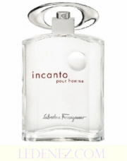 Salvatore Ferragamo Incanto Pour Homme Сальвадоре Ферагамо Инканто пур Хом мужской (Сальваторе Феррагамо)