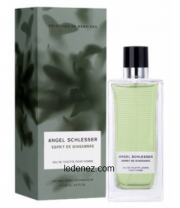 Angel Schlesser Esprit de Gingembre Pour Homme Анжел Шлессер Эсприт де Жинжембре